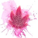 Leaf Gummy THC-infused 80mg (1x80mg)